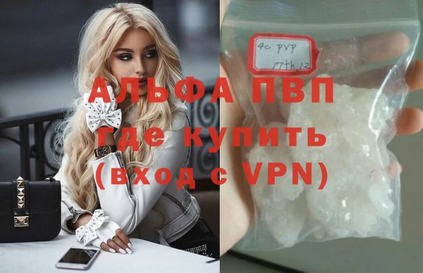стаф Кинешма