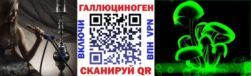 Псилоцибиновые грибы Psilocybine cubensis  Кедровый 